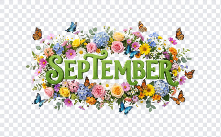 3D Floral September Month Text PNG with vibrant flowers and butterflies, perfect for seasonal designs, transparent background PNG.