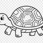 Tortoise Kids Drawing Line Art, Kids Drawing PNG, Tortoise Kids Drawing Line Art PNG, Line Art PNG, PNG, PNG Images, Transparent PNG Images, png free, png file, Free PNG, png download,