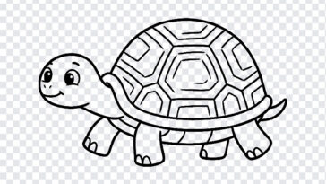 Tortoise Kids Drawing Line Art, Kids Drawing PNG, Tortoise Kids Drawing Line Art PNG, Line Art PNG, PNG, PNG Images, Transparent PNG Images, png free, png file, Free PNG, png download,