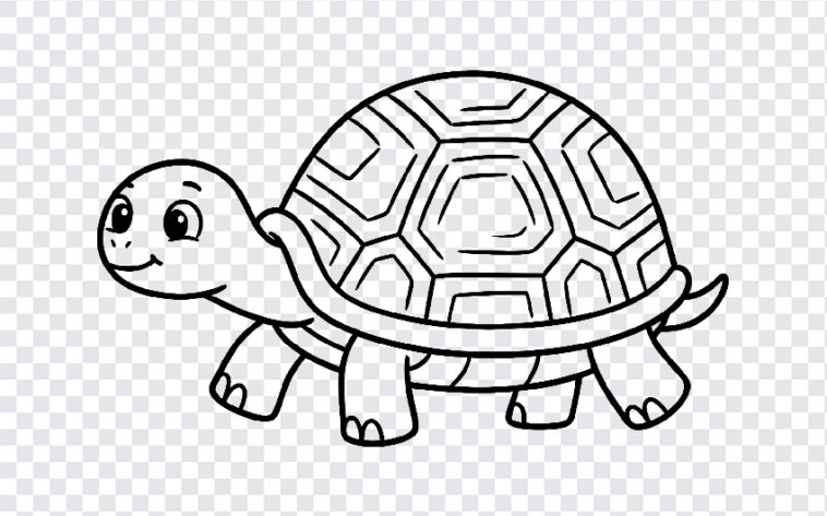Tortoise Kids Drawing Line Art, Kids Drawing PNG, Tortoise Kids Drawing Line Art PNG, Line Art PNG, PNG, PNG Images, Transparent PNG Images, png free, png file, Free PNG, png download,