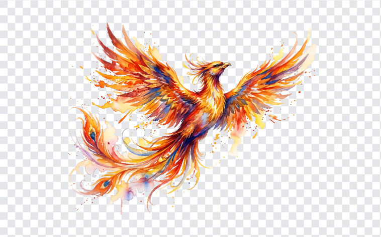 Phoenix Bird, Free Phoenix Bird Transparent, Watercolors Phoenix Bird FREE Transparent PNG, Watercolors Phoenix Bird, PNG, PNG Images, Transparent PNG Images, png free, png file, Free PNG, png download,