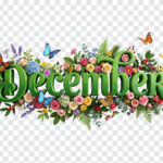 3D Floral December Month Text PNG with colorful flowers and butterflies, decorative design, transparent background PNG.