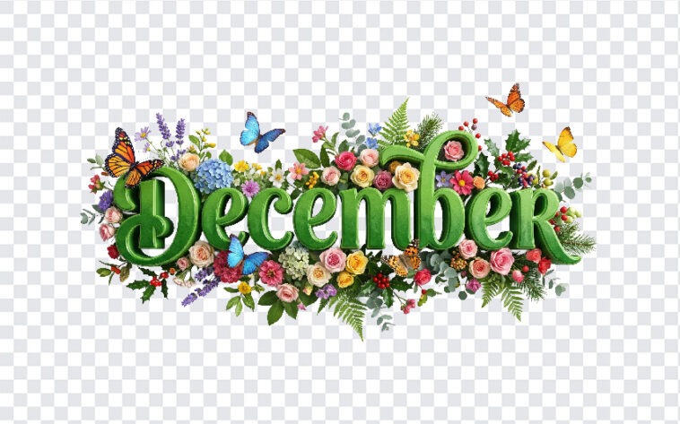 3D Floral December Month Text PNG with colorful flowers and butterflies, decorative design, transparent background PNG.