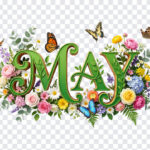 3D Floral May Month Text PNG with vibrant flowers and butterflies, perfect for spring designs, transparent background PNG.
