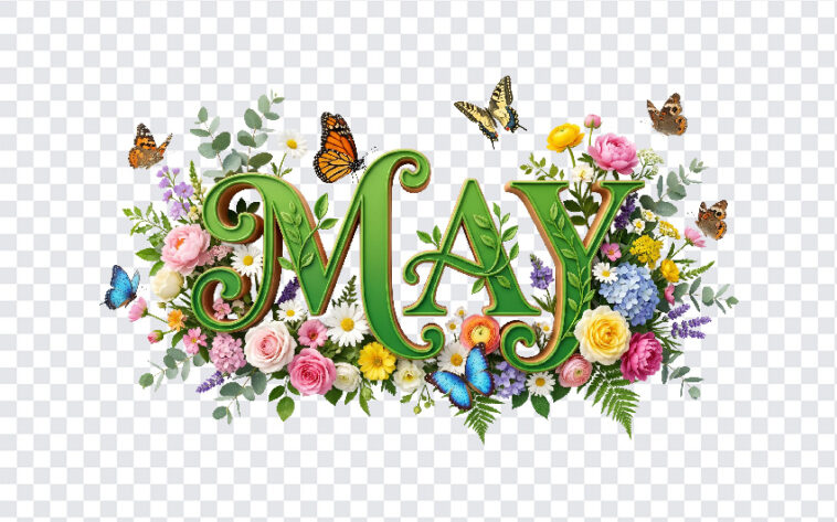 3D Floral May Month Text PNG with vibrant flowers and butterflies, perfect for spring designs, transparent background PNG.
