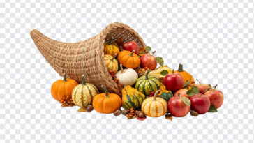Cornucopia PNG featuring a woven basket overflowing with pumpkins and apples, ideal for fall designs, transparent background PNG.