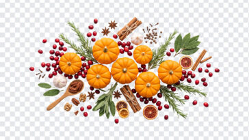 Thanksgiving Ingredients Transparent PNG featuring pumpkins, spices, and berries on a transparent background PNG.