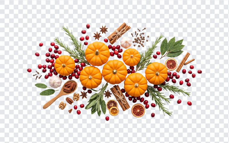 Thanksgiving Ingredients Transparent PNG featuring pumpkins, spices, and berries on a transparent background PNG.