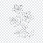 Flower Outline Transparent PNG with simple line art design for creative projects, transparent background PNG.