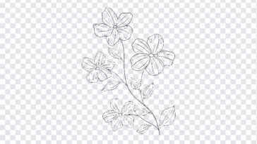 Flower Outline Transparent PNG with simple line art design for creative projects, transparent background PNG.