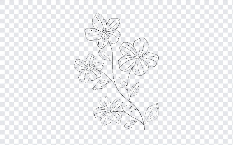 Flower Outline Transparent PNG with simple line art design for creative projects, transparent background PNG.