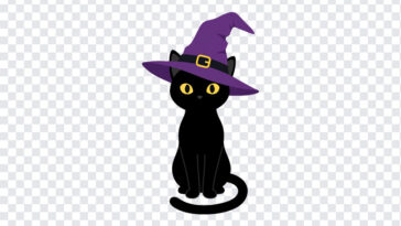 Black Cat With Witch Hat PNG in a whimsical cartoon style, perfect for Halloween designs, transparent background PNG.