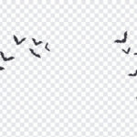 Halloween Bats And Spiderweb Corners PNG featuring bats in flight, perfect for spooky designs, transparent background PNG.