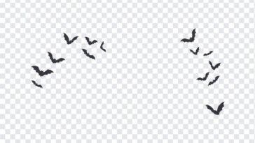 Halloween Bats And Spiderweb Corners PNG featuring bats in flight, perfect for spooky designs, transparent background PNG.