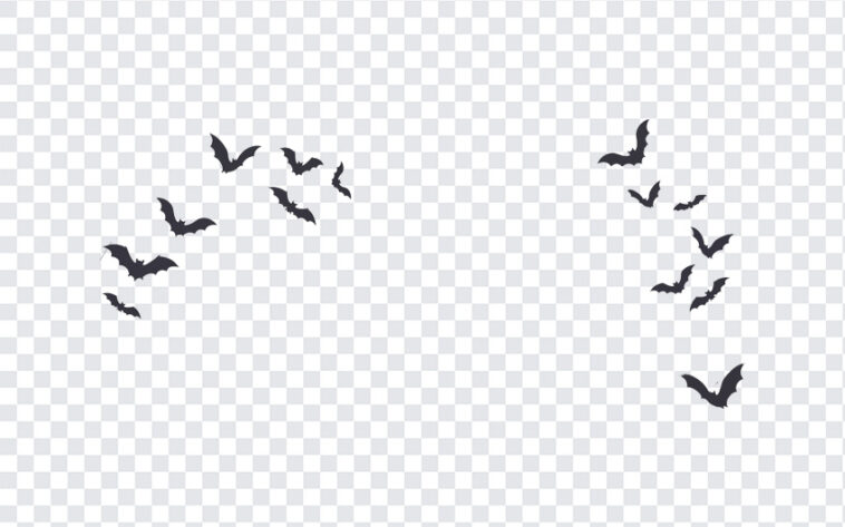 Halloween Bats And Spiderweb Corners PNG featuring bats in flight, perfect for spooky designs, transparent background PNG.