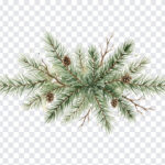 Watercolor Christmas Tree Branches PNG with artistic style for holiday designs, transparent background PNG.