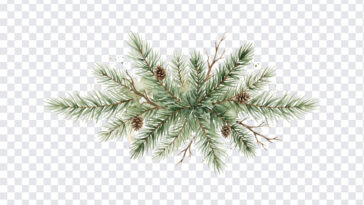 Watercolor Christmas Tree Branches PNG with artistic style for holiday designs, transparent background PNG.